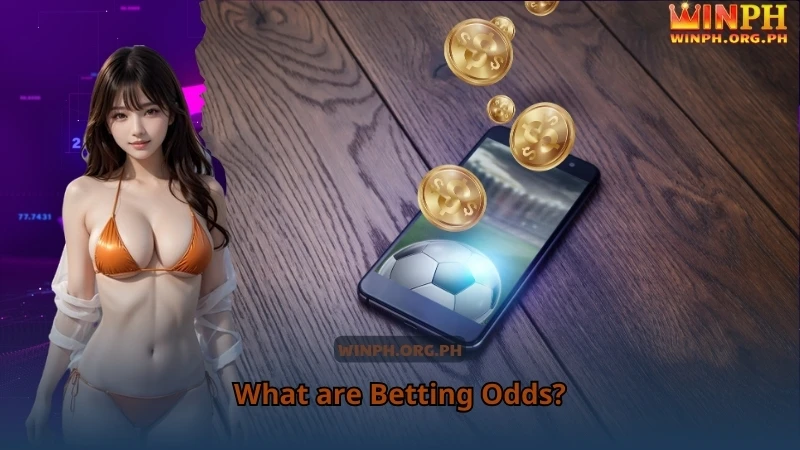 What are Betting Odds?