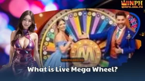 What is Live Mega Wheel